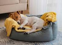 Dog bedding and house