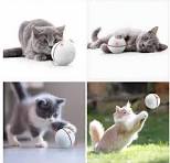 Cat toys and exercise