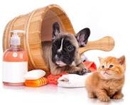 Cat Cleaning