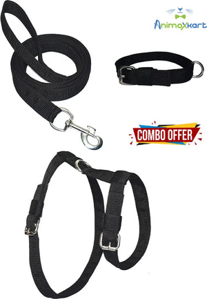 Cat belt, collar and Harness