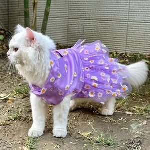 Cat Cloths