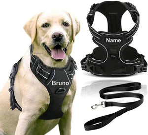 Dog Belt, Collar and harness
