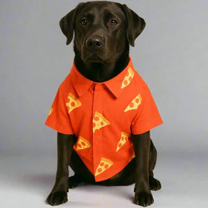 Dog Cloths